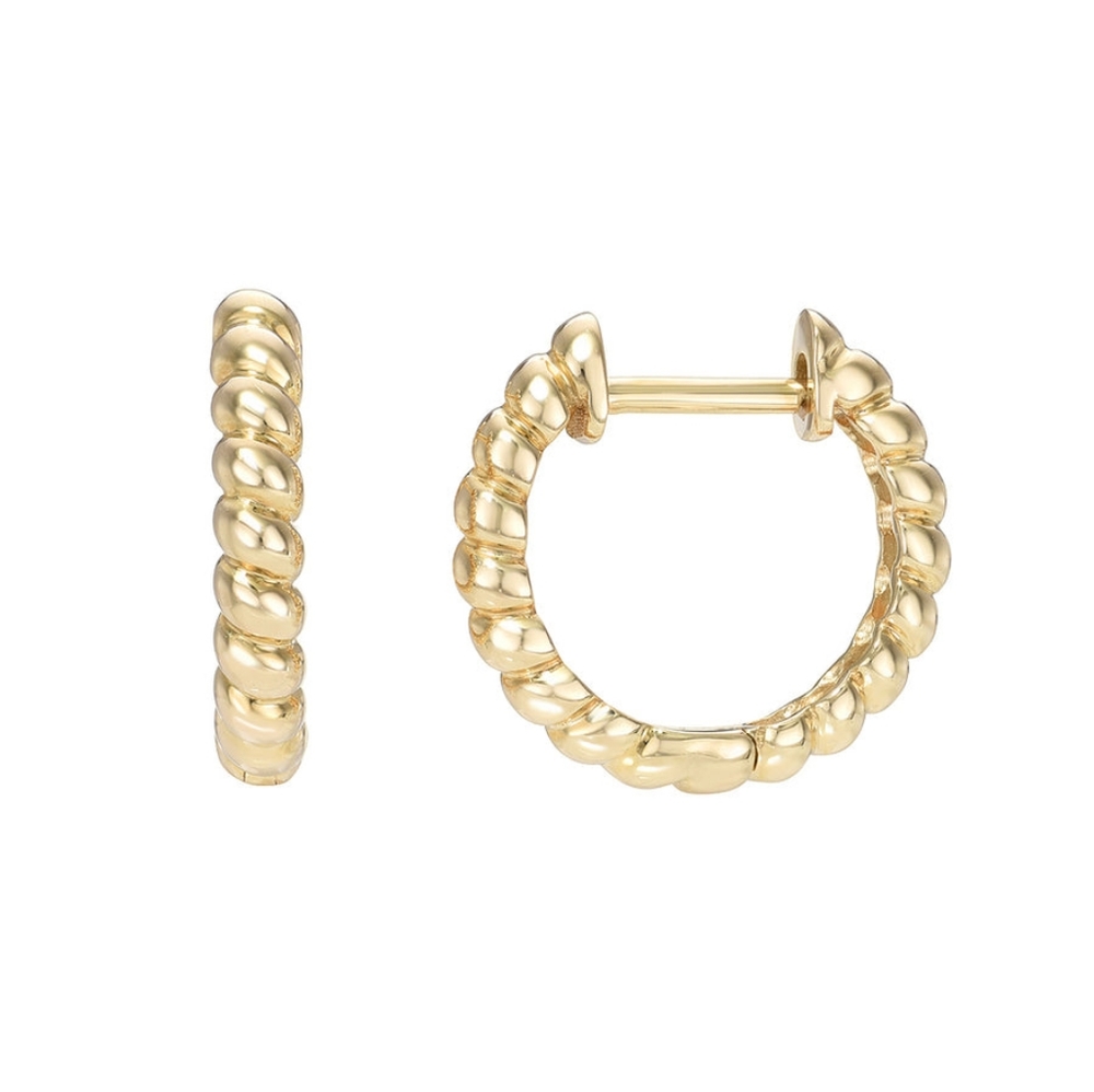 New Gorjana Earrings
